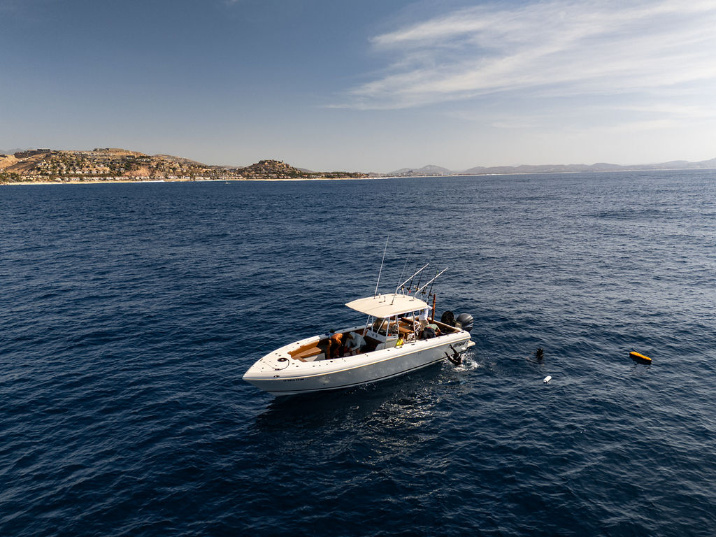 Aerial view of divers and Intrepid boat Cabo coastline