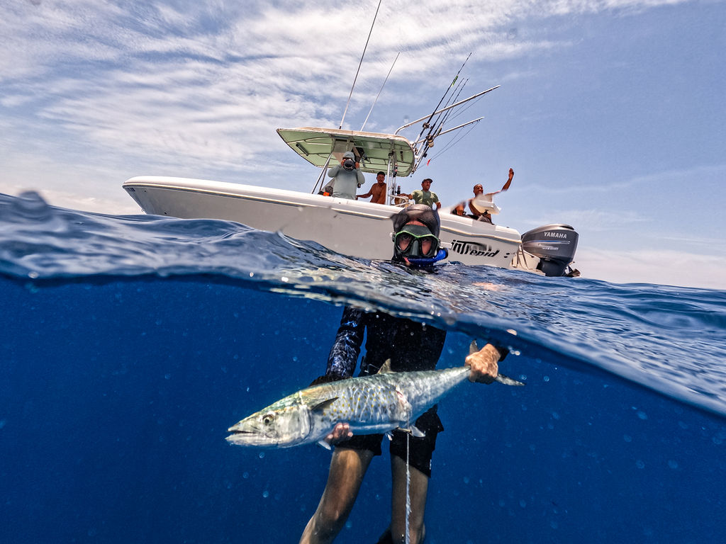 Half above half below wahoo catch spearfishing